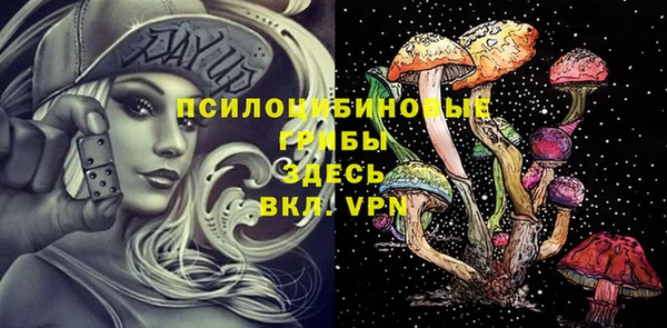 молекула духа Алексеевка