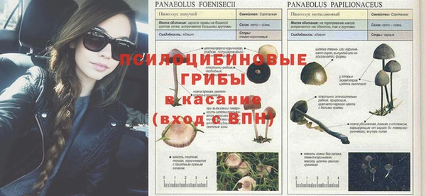 мескалин Алзамай