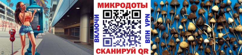 mega ссылки  где можно купить   Кизел  Псилоцибиновые грибы MAGIC MUSHROOMS 